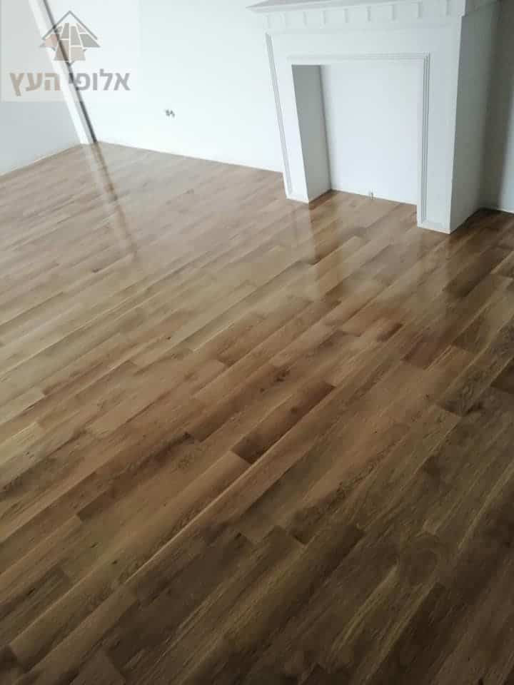 פרקטים בגוון כהה בדירת 3 חדרים באיזור קריית אונו