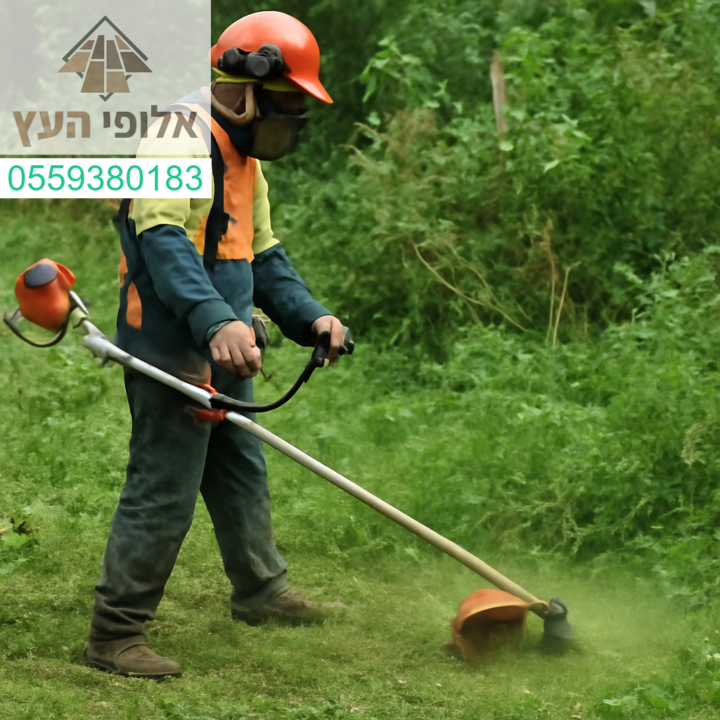 ניקוי עשבייה מקצועי ויעיל – להפוך כל שטח פרא לגינה מטופחת! 🌿✨
אלופי העץ | 055-9380183