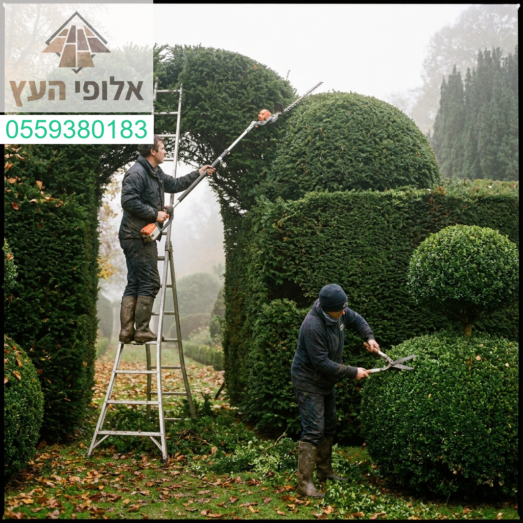 אמנות הגיזום והטיפול המקצועי בשיחים וגדרות חיות למראה גינה מושלם ומטופח בכל עונה