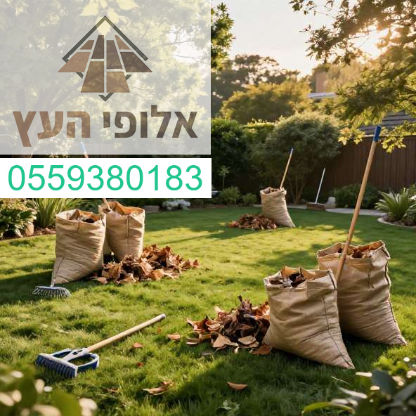 שירות מקצועי ואיכותי לפינוי וניקוי חצרות אלופי העץ דואגים לגינה מושלמת ומטופחת עבורכם