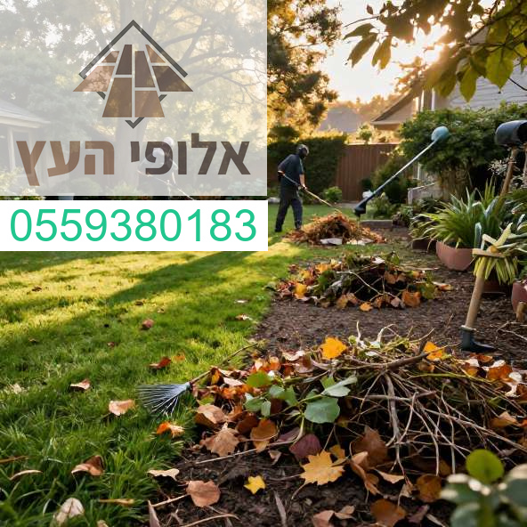 אלוף העץ: המקצוענים בפינוי וניקוי חצרות למראה מושלם ומטופח