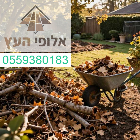 שירות ניקיון ופינוי חצרות מקצועי ואיכותי עם אלופי העץ